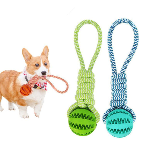 Durable Rubber Ball Chew Toy with Cotton Rope Pet Toys for Dogs